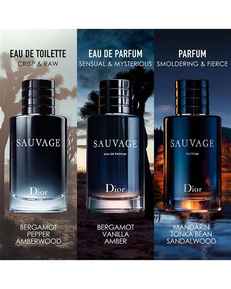 sauvage dior cherry patchouli|sauvage Dior fragrance.